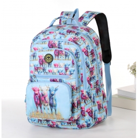 Large Backpack